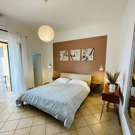 L'albero Di Melograno Seccheto