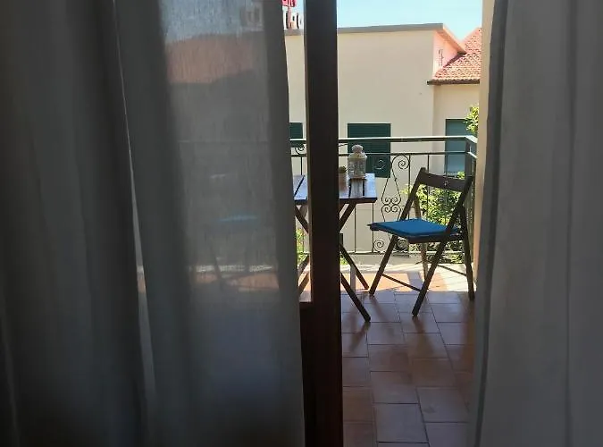 L'albero Di Melograno * Seccheto