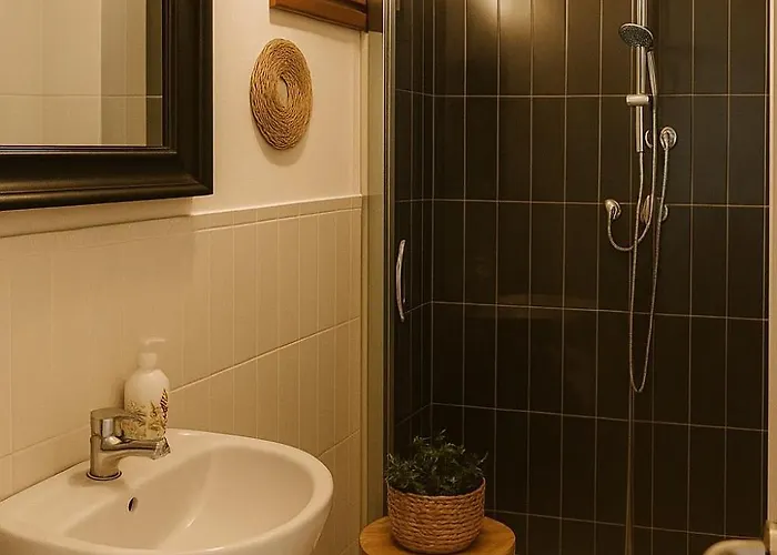 L'albero Di Melograno Seccheto