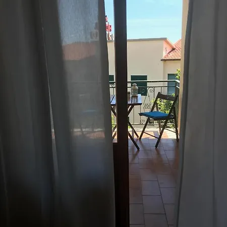 L'albero Di Melograno * Seccheto