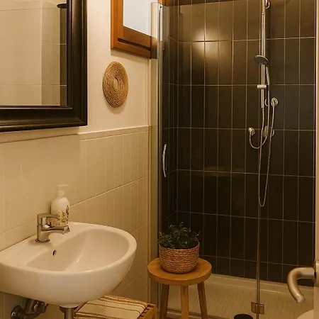 L'albero Di Melograno Seccheto