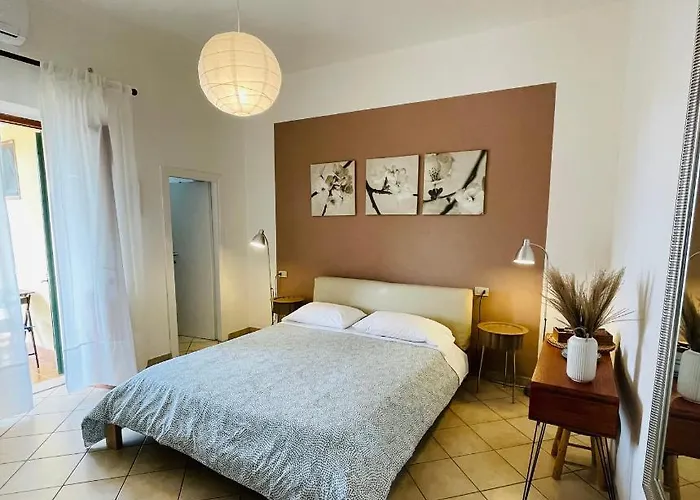 L'albero Di Melograno Seccheto